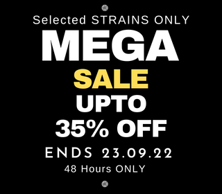 gorillaseeds's tweet photo. MEGA SALE 35% OFF
https://t.co/NnrEZt8VXf
Limited Time ONlY https://t.co/LwY82oNJ0e