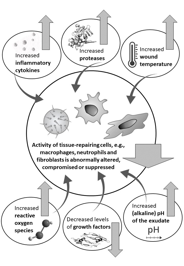Amit Gefen tweet media
