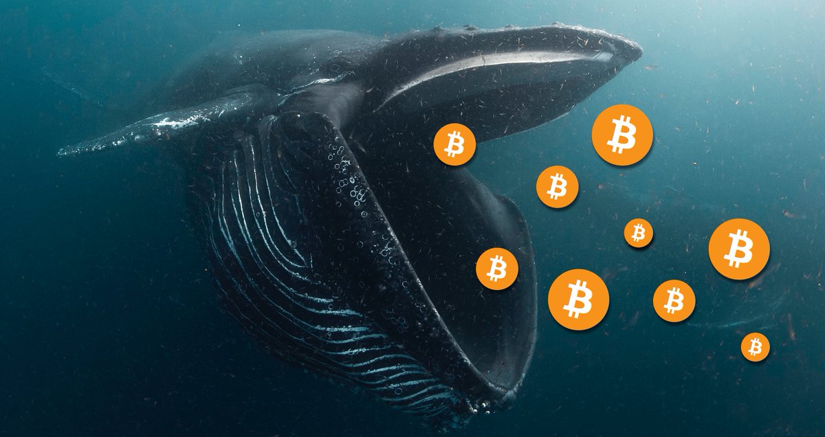 sunnydecree's tweet photo. This is what happens when you sell your #bitcoin: https://t.co/qAYA3M7h3L
