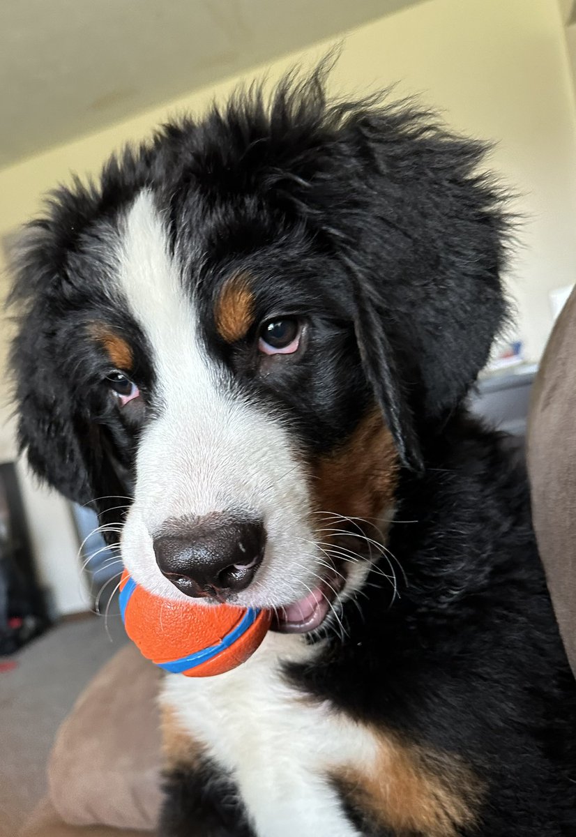 Grenvil14's tweet photo. His face when I say I have to go to work https://t.co/h96HRgHDMr