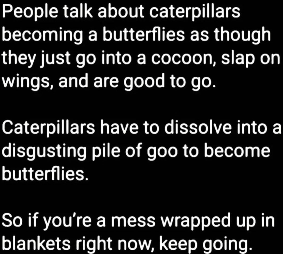 Kimberly Holmes tweet media