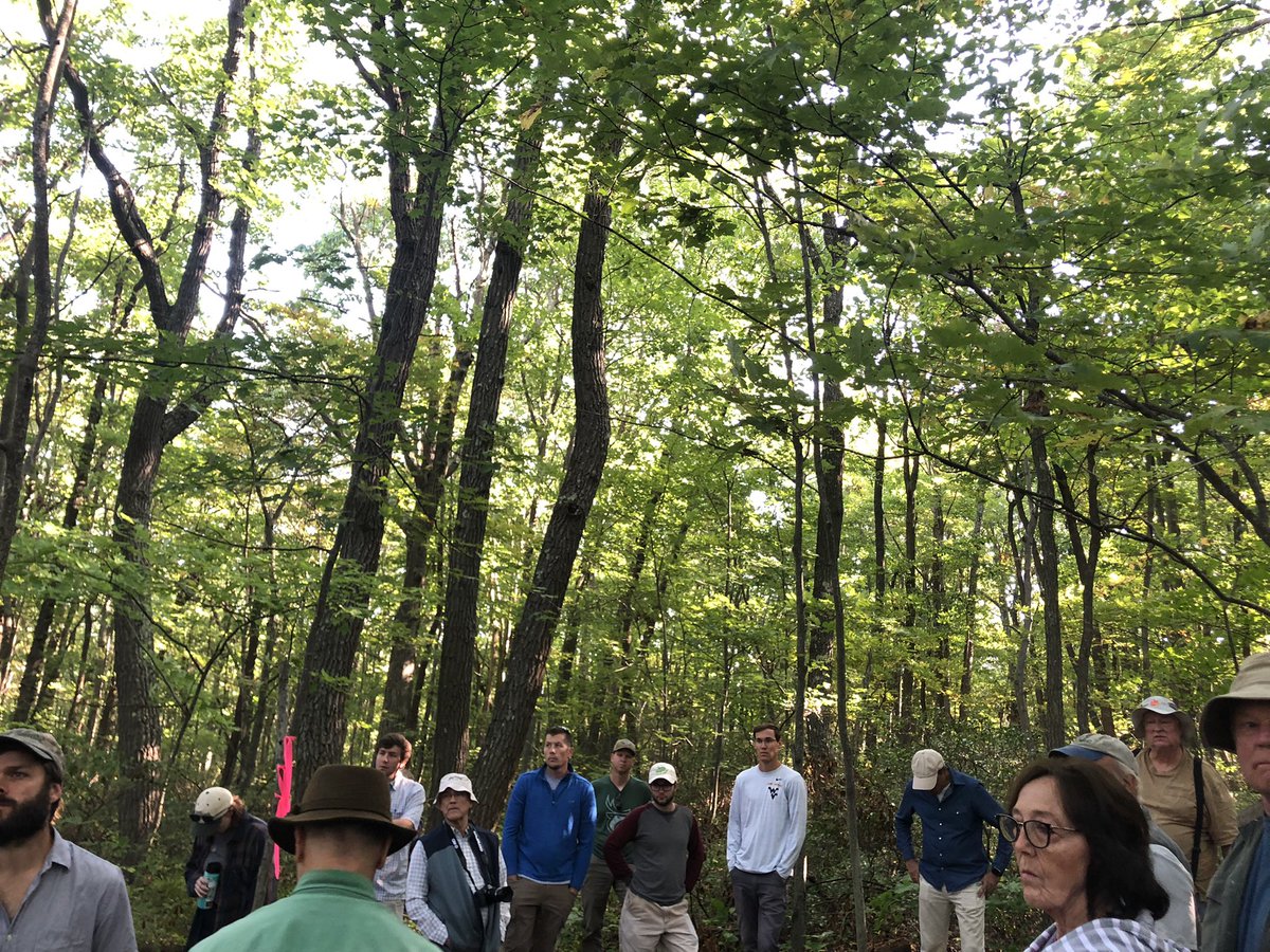 MOsilviculture's tweet photo. What do you get when you bring 50 silviculturists together on a field tour? A lot of discussion/debate on terminology, of course, and some excellent examples of good forest management!! https://t.co/ngol7dCzcv