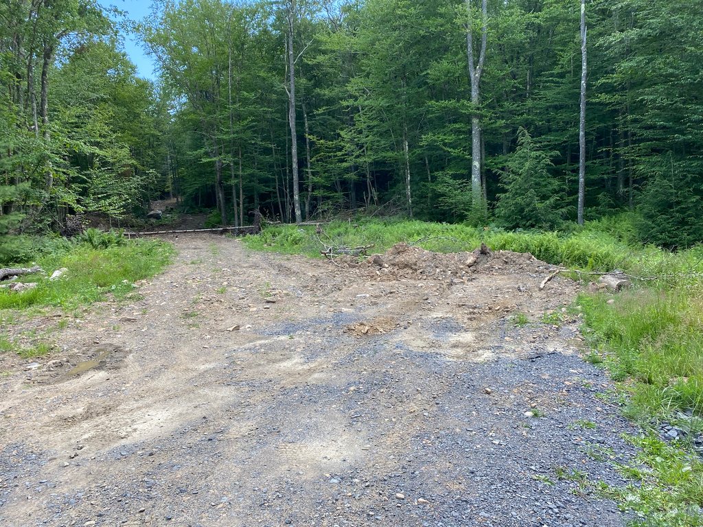 nysacademywv's tweet photo. Big updates at the #NYSCenter! We are working on adding roads to the 150 acres to make the space more accessible. ππ₯Ύβ https://t.co/ValKHWxesh