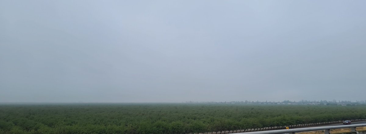 andyjump1118's tweet photo. After 2 days of #precipitation we got #fog forming in the #centralvalley. @NWSHanford @StormHour #wxspotter #notfallyet #foggy #fallweather https://t.co/PktXGPe8d1