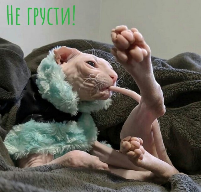 Leonid Filatov tweet media