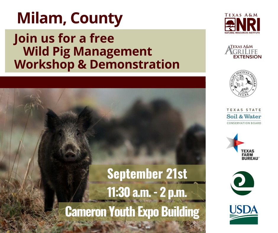 Feral Hogs CoP tweet media