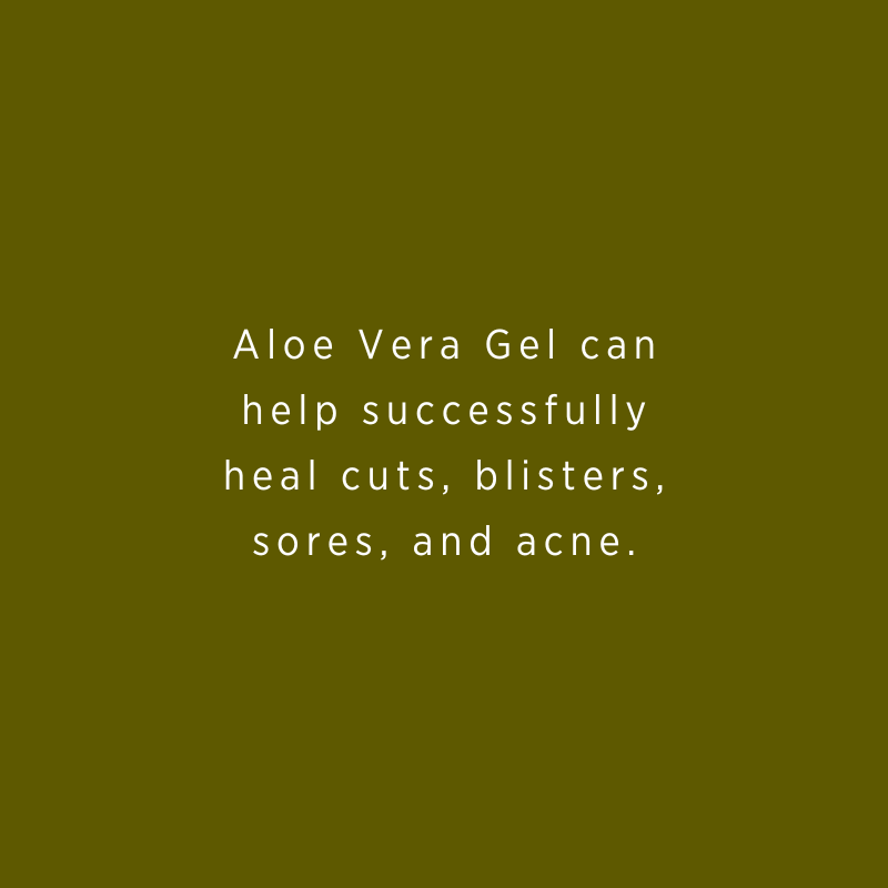 Aloe Vera Gel dramatically improves skin texture and can help eliminate dryness, itching, eczema, psoriasis, and other skin diseases.

#aloeveragel #moisturize #aloeskincare #healyourskin