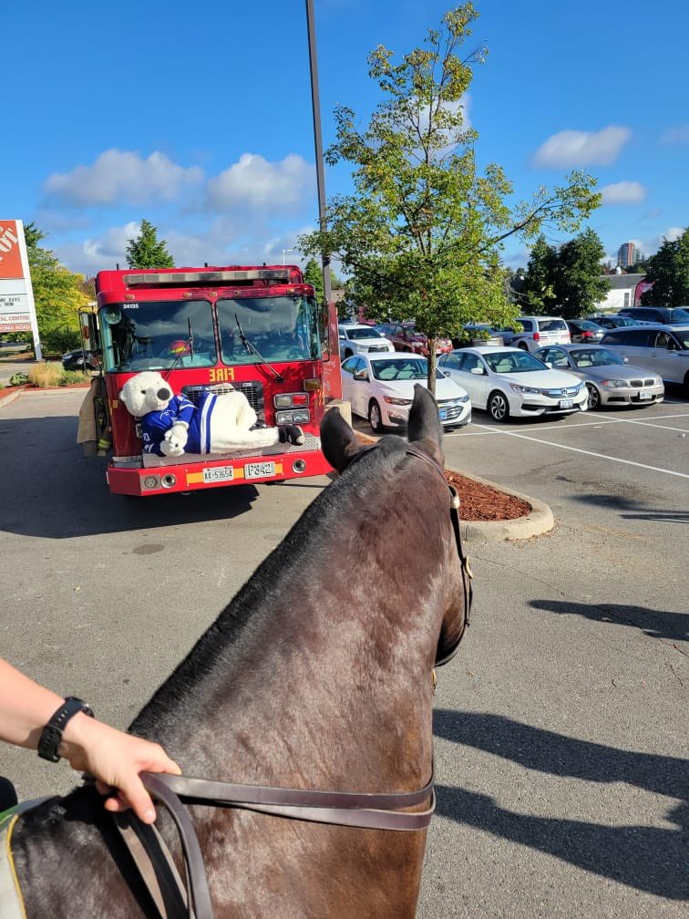 TPSMounted's tweet photo. Many special people (and horses) out today to kick off @TimHortons #SmileCookie fundraiser. 💯 of the $ go 2 local charities. Carleton the Bear and Canada’s most decorated Olympian @OleksiakPenny was out to help #PHDraper and #PHDavis sell some cookies #cookiesmakeyouswimfaster https://t.co/UFeXUYip9c