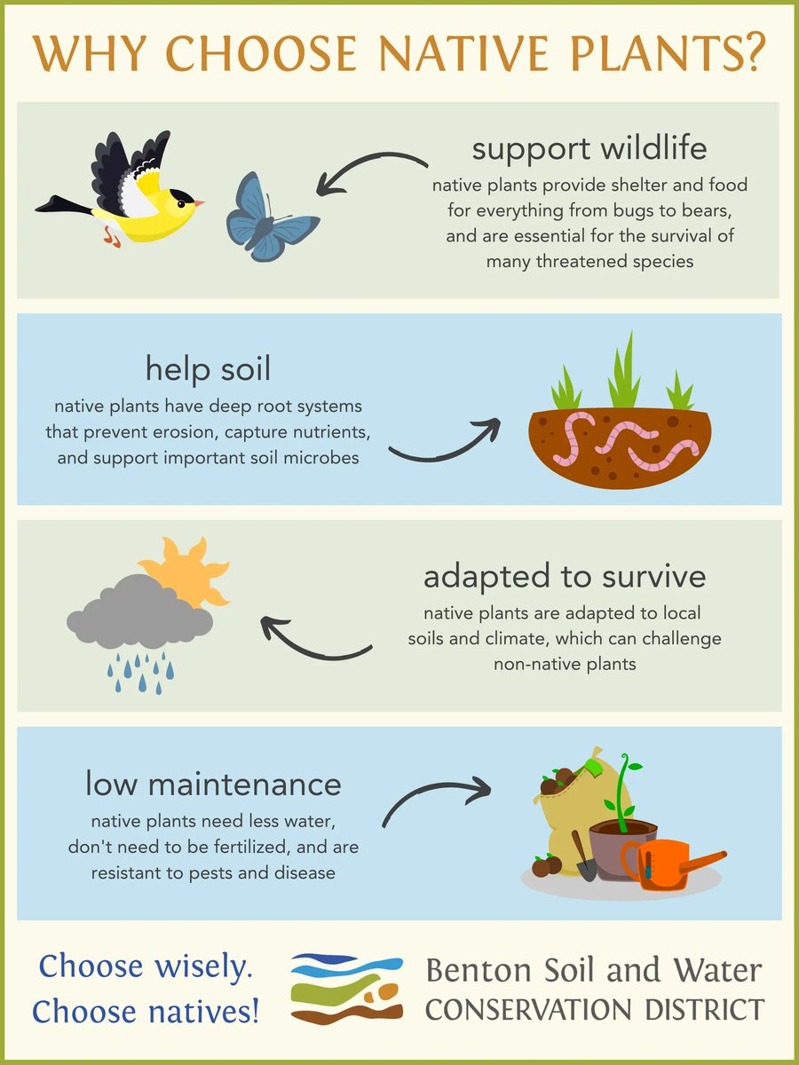 BentonSWCD's tweet photo. Here at Benton SWCD, we're big fans of native plants. Why? The reasons are many!
Buy native bulbs and seeds ready for Fall planting at our plant sale this weekend! https://t.co/uNJToTaivq 
 #plantnative #nativeplants #nativegarden #pollinators #wildlife #biodiversity https://t.co/6Ci1oZewsZ