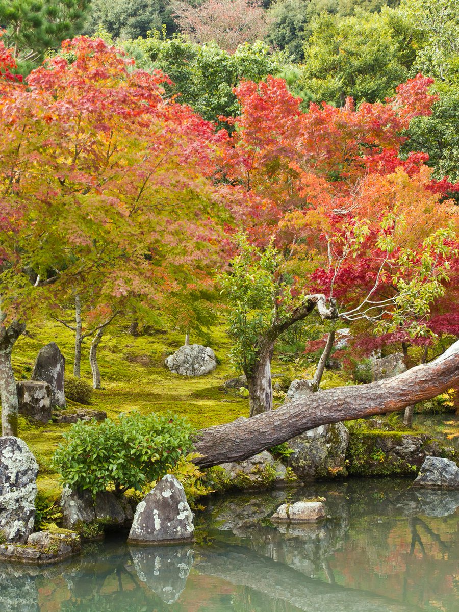 Vipin Dhir tweet media