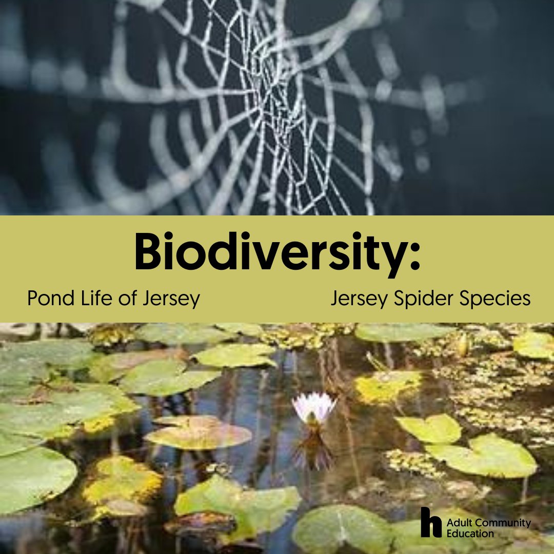 Highlands College tweet media