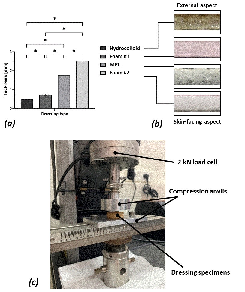Amit Gefen tweet media