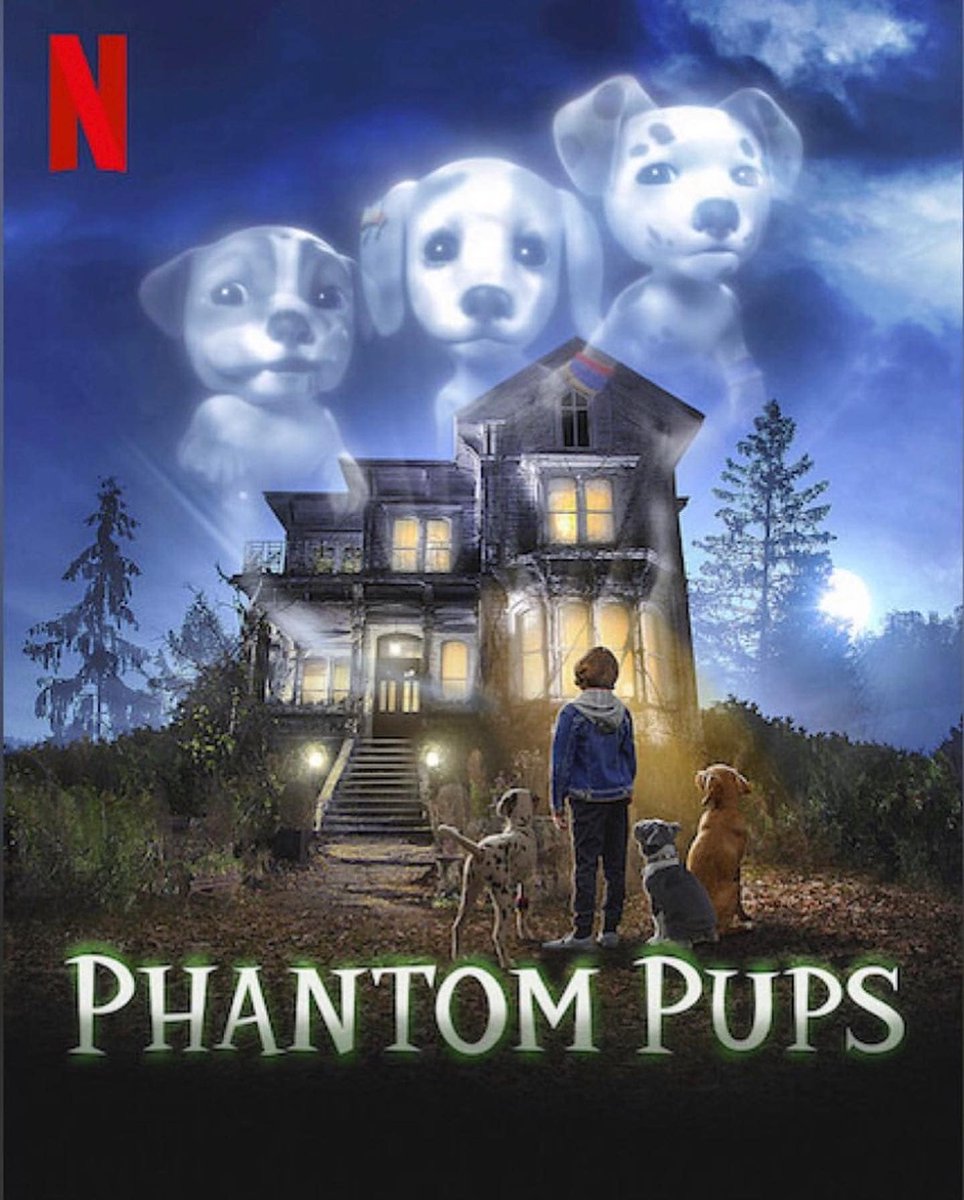 danramoscomedy's tweet photo. 9 MORE DAYS UNTIL @netflix RELEASES @AIRBUD 's #PHANTOMPUPS. This is my first lead role as an #actor so go ahead and start nominating this show for an #emmy for #OutstandingChildrensProgram and let's call it a day https://t.co/G7NHNmffqw
