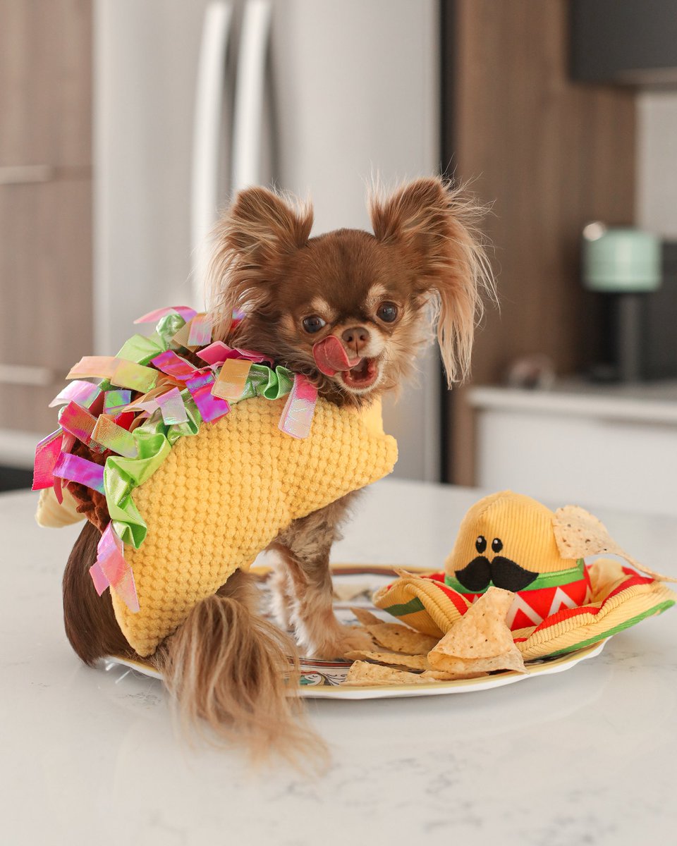 IT’S TACO TUESDAY 🥳🌮🎉