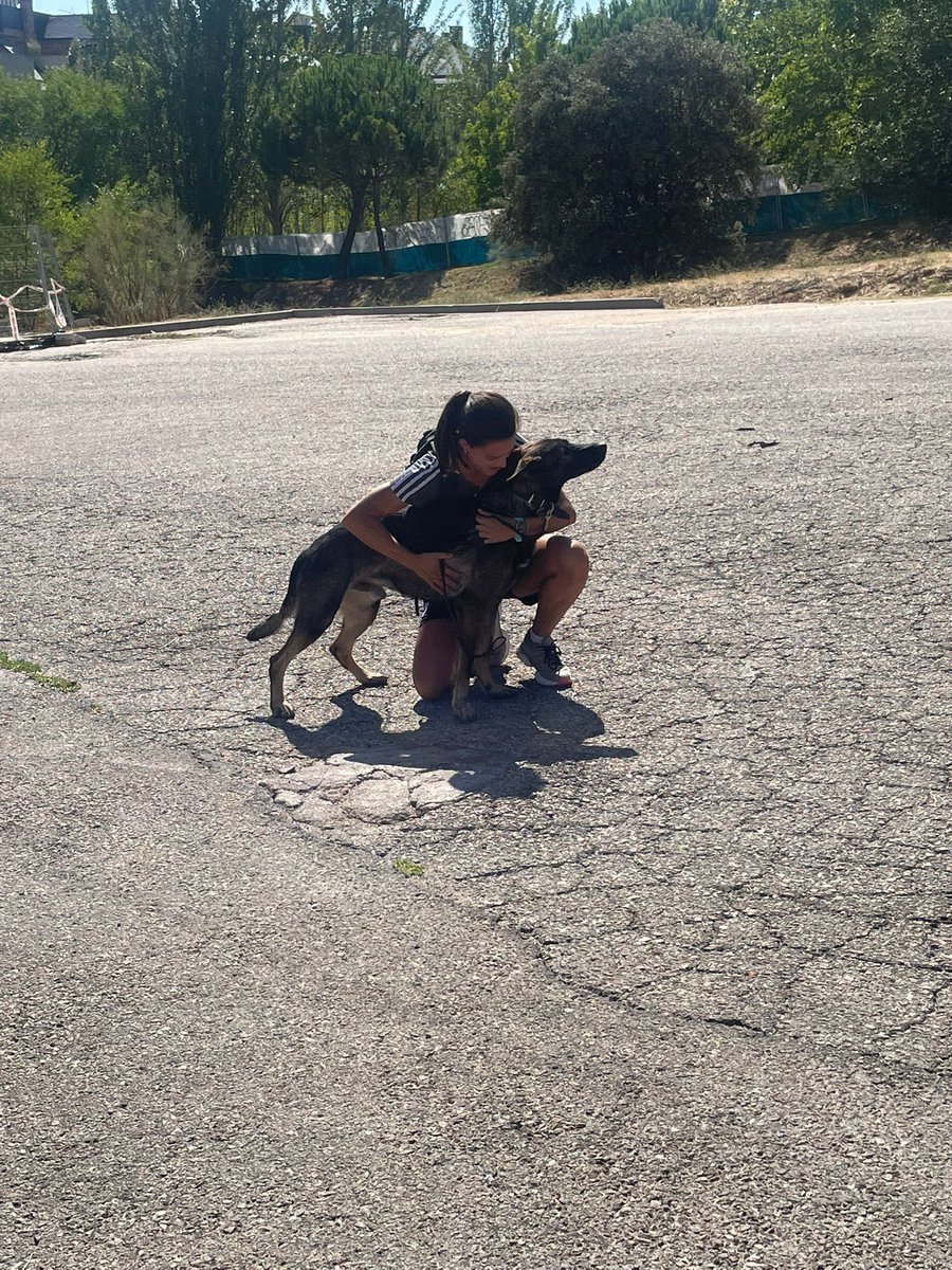 saraikaro's tweet photo. UKO YA ESTÁ DE VUELTA DESPUÉS DE 4H ♥️😍 https://t.co/BKxzL4NoOu