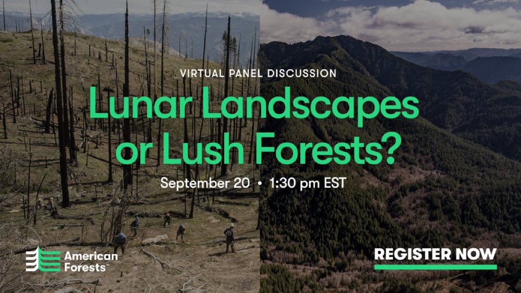 JadDaley's tweet photo. ⏳ running out! We must bring old school “right 🌲, right place” into 💻 age with climate resilient reforestation. 

Join our #ClimateWeekNYC event at 1:30 PM ET today to learn how 👉: https://t.co/S3wCbdhan5

@AmericanForests @ClimateGroup https://t.co/K7Lpr6hX1I