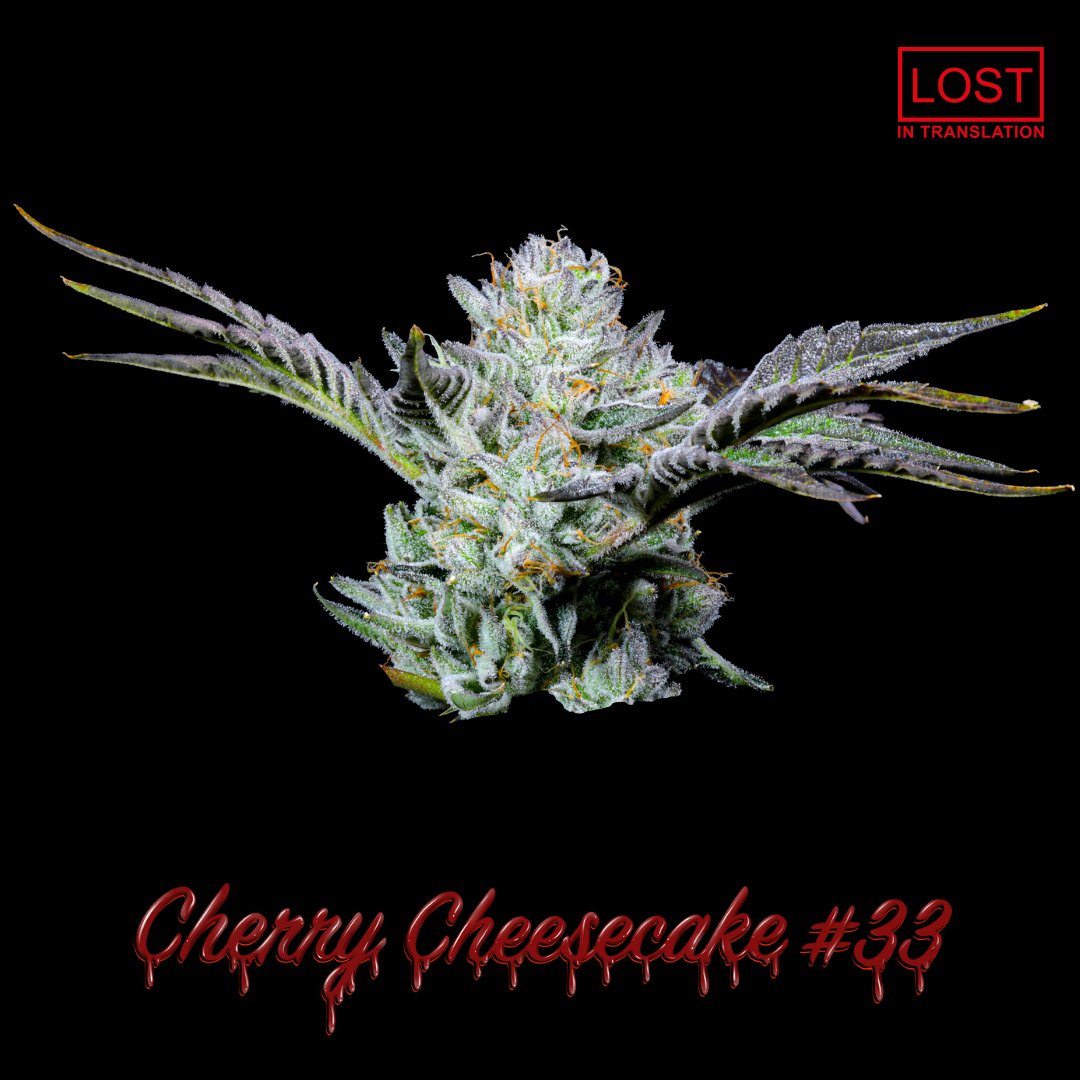 AYR Florida tweet media