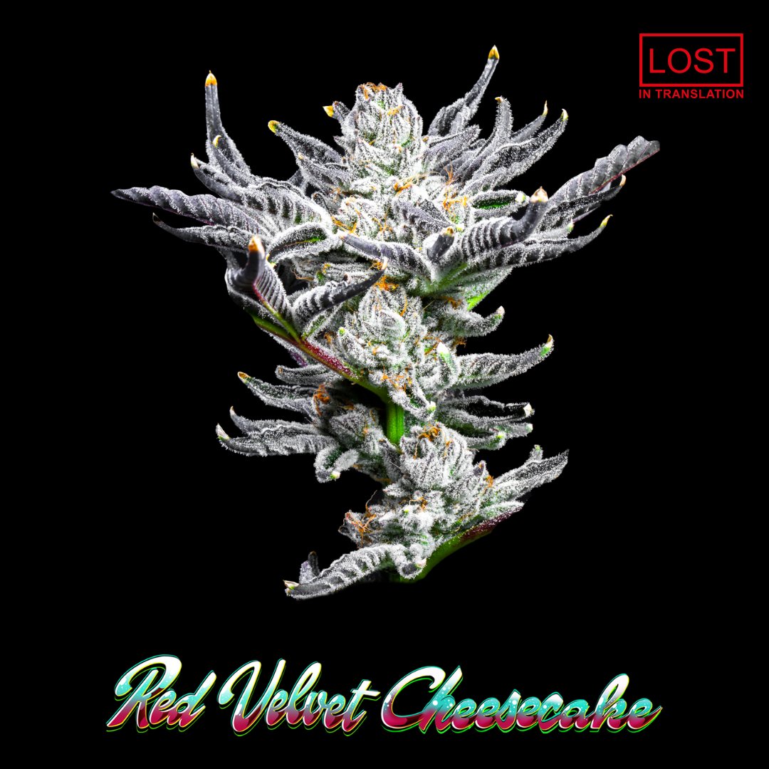 AYR Florida tweet media