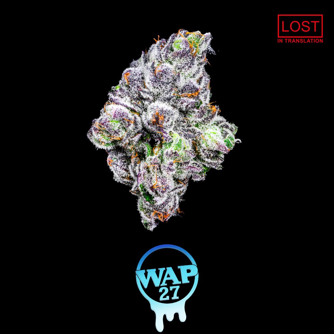 AYR Florida tweet media