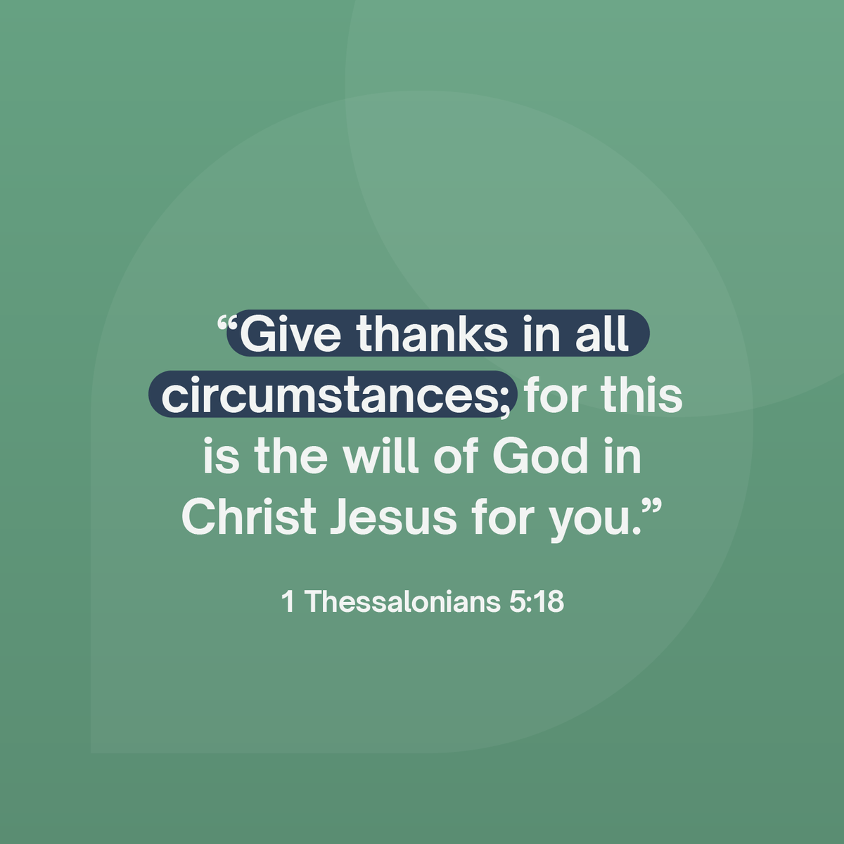 ap4l's tweet photo. Gather with us online tomorrow at midday as we give thanks to the Lord together – for all He has done through A Passion for Life and the Life ’22 mission so far.

We'd love to see you there! Find more details here: https://t.co/GuxPcAznyN https://t.co/yVyCMTCEnN