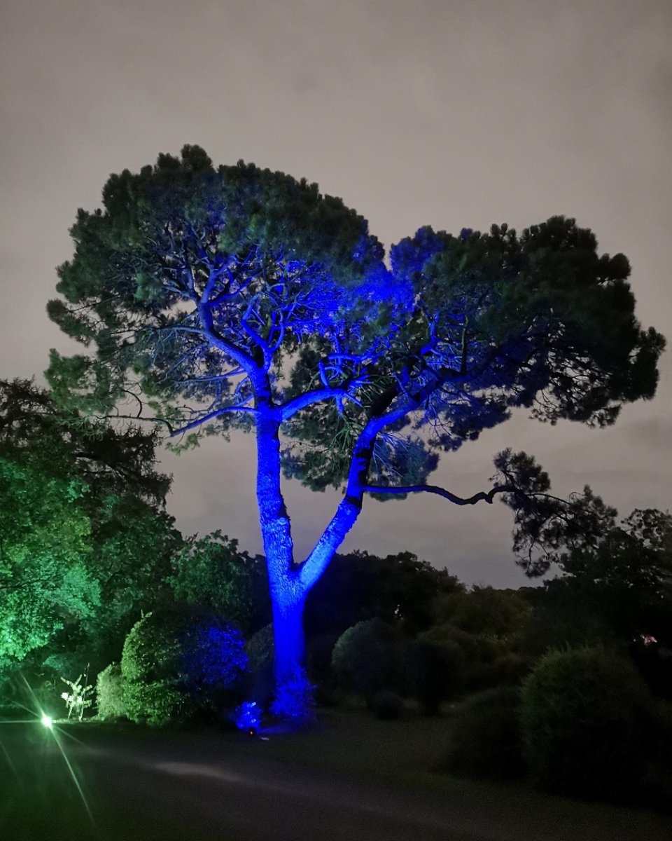 It’s all go out at @NBGGlasnevin in preparation for @EasterbyJony’s Remnant Ecologies! 🌳🌻🌙 🎟 21-25 September. Suitable for all ages: fringefest.com/festival/whats…