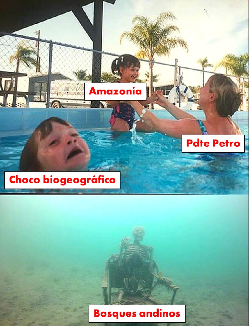 rata_charlatana's tweet photo. Hice un meme. https://t.co/lJ52XYDmpG