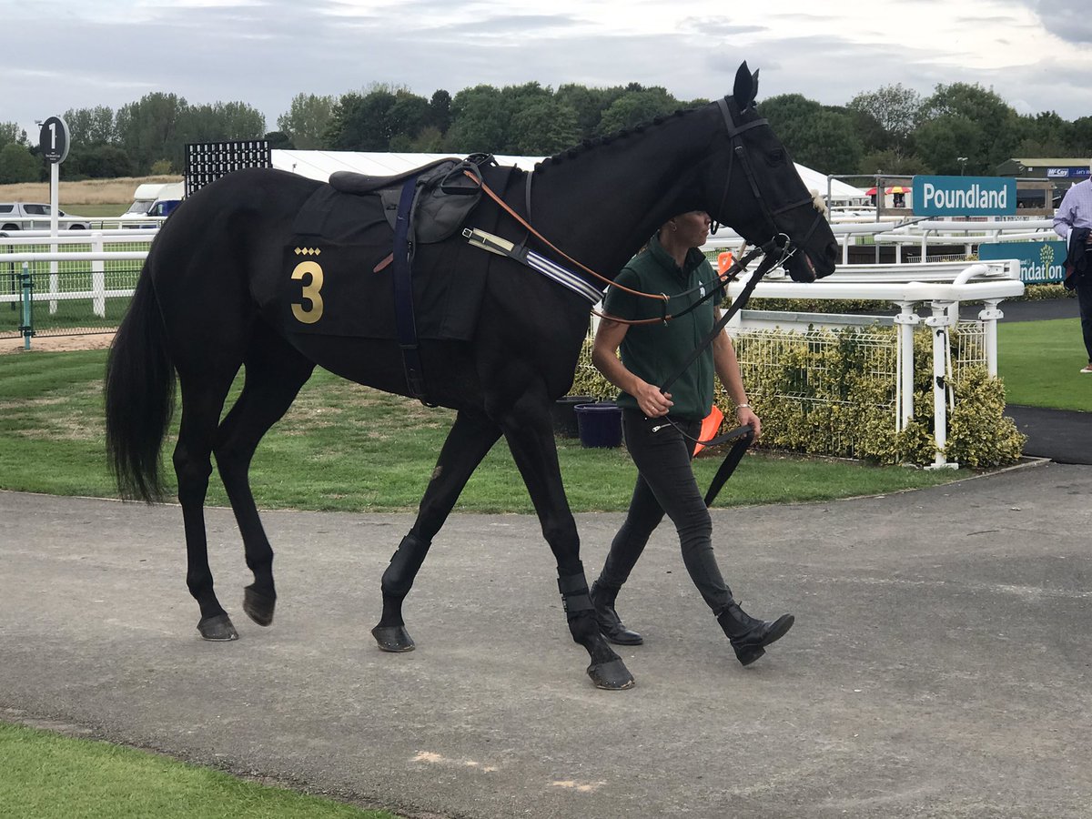 SybilRuscoe's tweet photo. Our beautiful Organdi - winner @WarwickRaces Top work #TeamAdlestrop @RTPhillips1 @samtwiston #racing #Organdi And well done Tash - Organdi won best turned-out horse. https://t.co/cWeG6ioPiy
