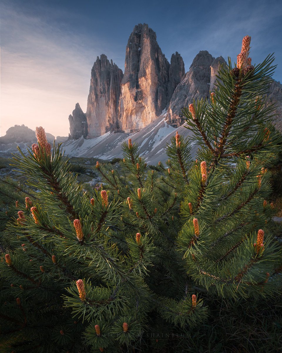shainblum's tweet photo. GM https://t.co/VE5h6HyqPD