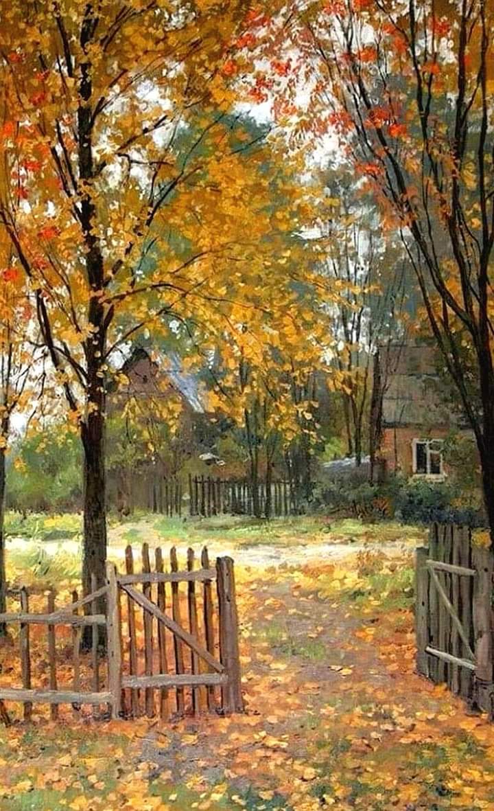 Francisco Ribeiro tweet media