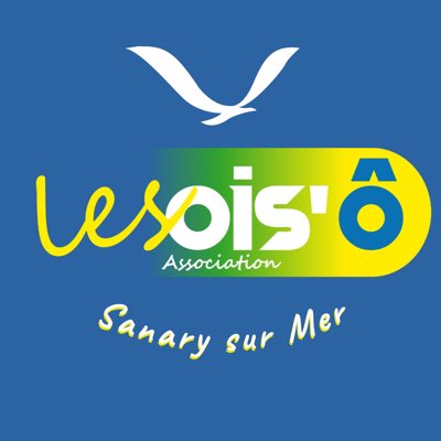 Nous déclarons officiellement l’ouverture de l’Association les Ois’ô !
#santé #obesite #dietetique #apa #psychologie #association #adolescent #famille #equipe