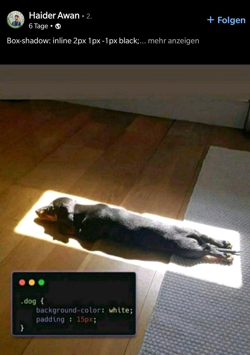 My humor is broken 🫠