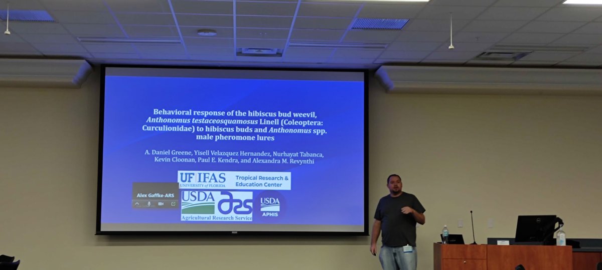 alex_revynthi's tweet photo. Dr. @ADanielGreene1 in his #postdoc focuses on the behavioral and chemical ecology of the #invasive #Hibiscusbudweevil. Thank you @ADanielGreene1 for your contributions to the lab and your friendship! @UFTropical @UFEntNem #PostdocAppreciationWeek https://t.co/wvbaKvo05Z