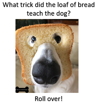 won_share's tweet photo. #tasty #dogsofinstagram #bonniewontshare #dogsoflinkedin #dogs #dogsoffacebook #Puppies #dogsoffacebookofinstagram #doglovers https://t.co/1aDTiBNODE