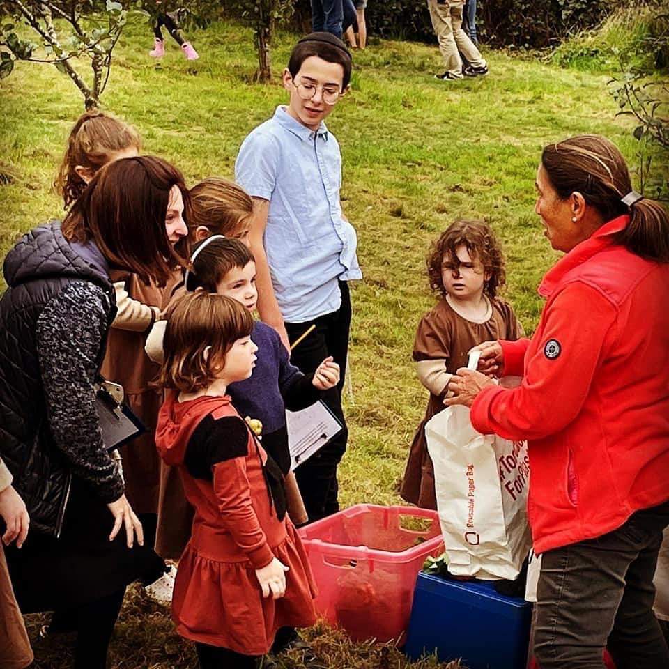 NMFestival's tweet photo. This Sunday...Apple Day 🍎

This annual day is always a family favourite with activities, including apple coring, a treasure hunt, raffle, bouncy castle &amp; more!

This FREE event is at New Mills Community Orchard 2-4pm this Sunday (25th Sept)

Info on our website #NewMillsFestival https://t.co/0zQTjo0yy1