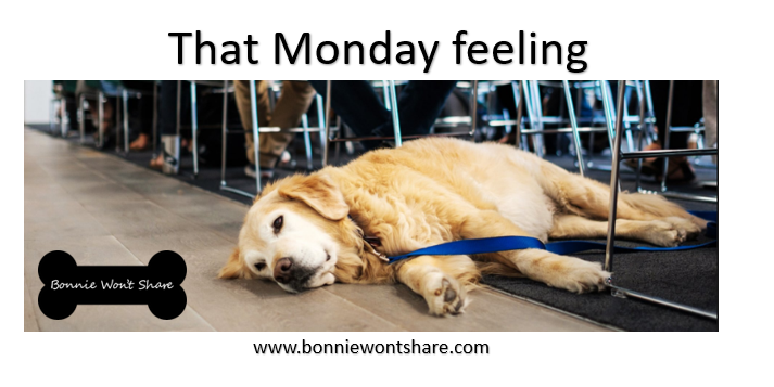 won_share's tweet photo. #dogsoffacebook #tasty #dogsoflinkedin #dogs #dogsofinstagram #bonniewontshare #dogsoffacebookofinstagram #Puppies #doglovers #monday #mondaymood https://t.co/01DJfxNHRo