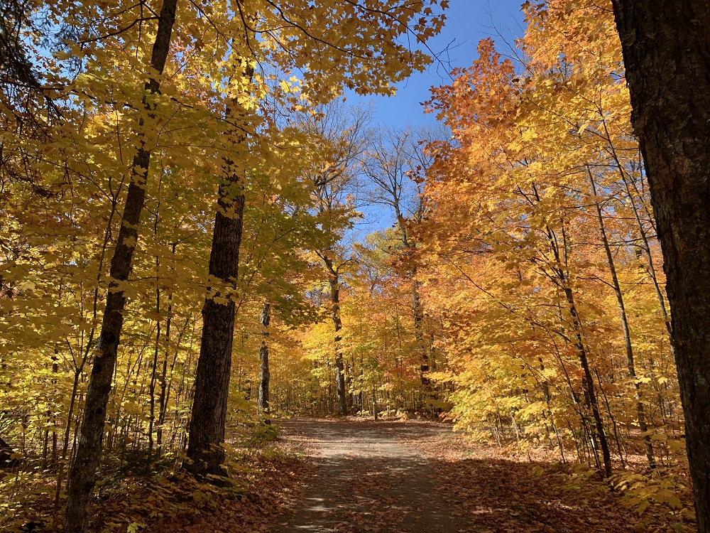 OntarioParks's tweet photo. If you're making your annual trip to see @Algonquin_PP's #FallColours, read this first. 

We've made some changes for 2022: https://t.co/tK9x0qWkQc https://t.co/kCnaVm8dog