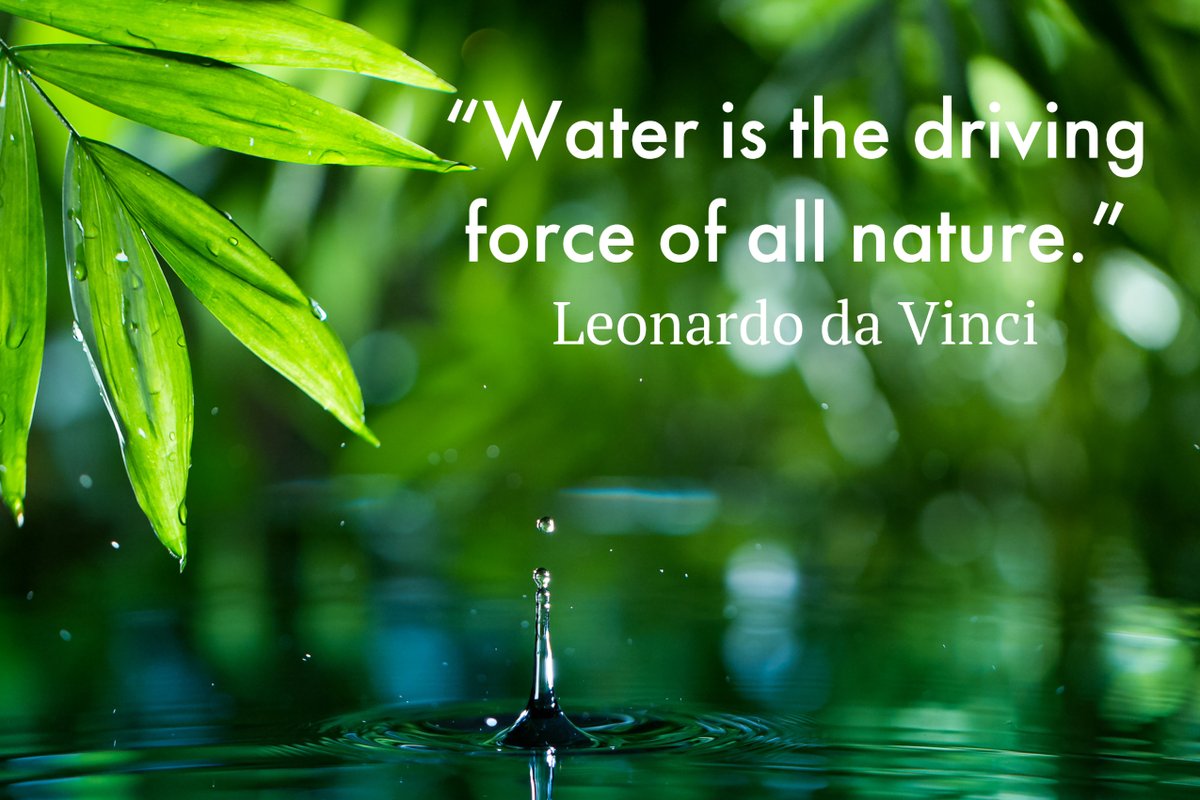 compliance_go's tweet image. That is why it’s so important to keep waterbodies clean. Stormwater pollutants are among the most damaging to waterbodies. The only thing that belongs in a storm drain is clean water.

#stormwater #waterpollution #waterquality #enivironment #compliance #cleanwater #compliancego