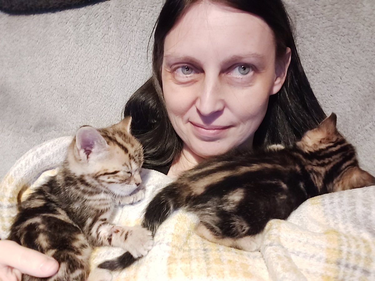 Hand rearing kittens is exhausting but very rewarding ❤