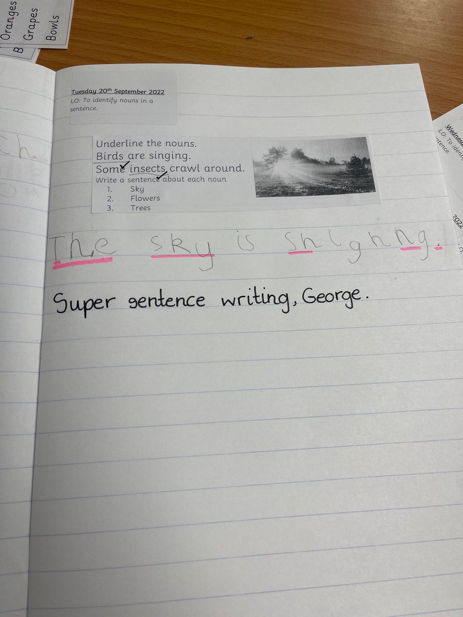 OverLadybirds tweet media