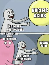 NucleicAcids7's tweet photo. @Carbolicious247  @ProteinInk @Lipids4prez https://t.co/n526pZqYrX