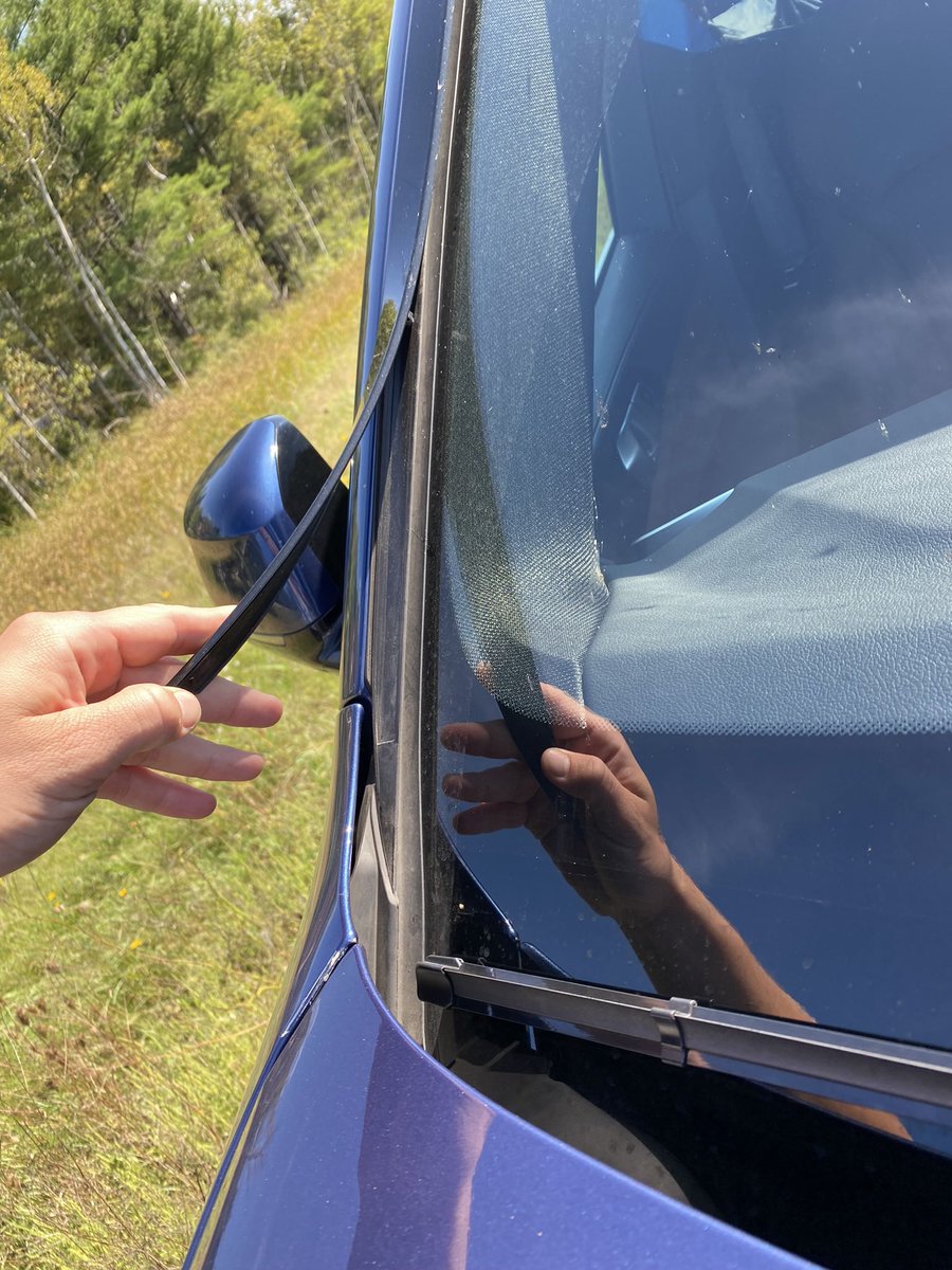 iopheam's tweet photo. Window trim detached on my X5 after driving on a highway. @BMWUSA is this a warranty covered thing? https://t.co/e1WCqLX609