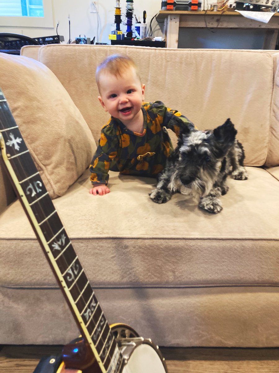 Training up our new backup singers Pharis and Merle.  They might not hold a tune but they look damn good!

#bluegrassbaby #bluegrass #banjodog #banjobaby #bluemerle