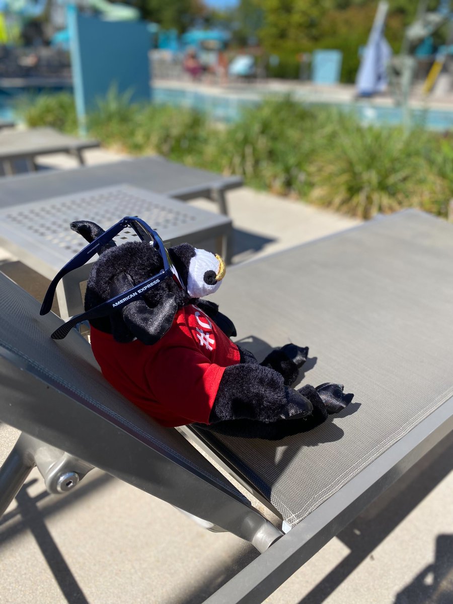 Chargebacks911's tweet photo. Being the star of the show is tough work. Our #Cb911 bull had to take a brief siesta by the pool before heading back out on the floor at #MAGAnnualConference.
Thanks to @AmericanExpress for the shades!
#MAGTechForum #MAGAnnual @magpayments https://t.co/SVmBqZYaYG