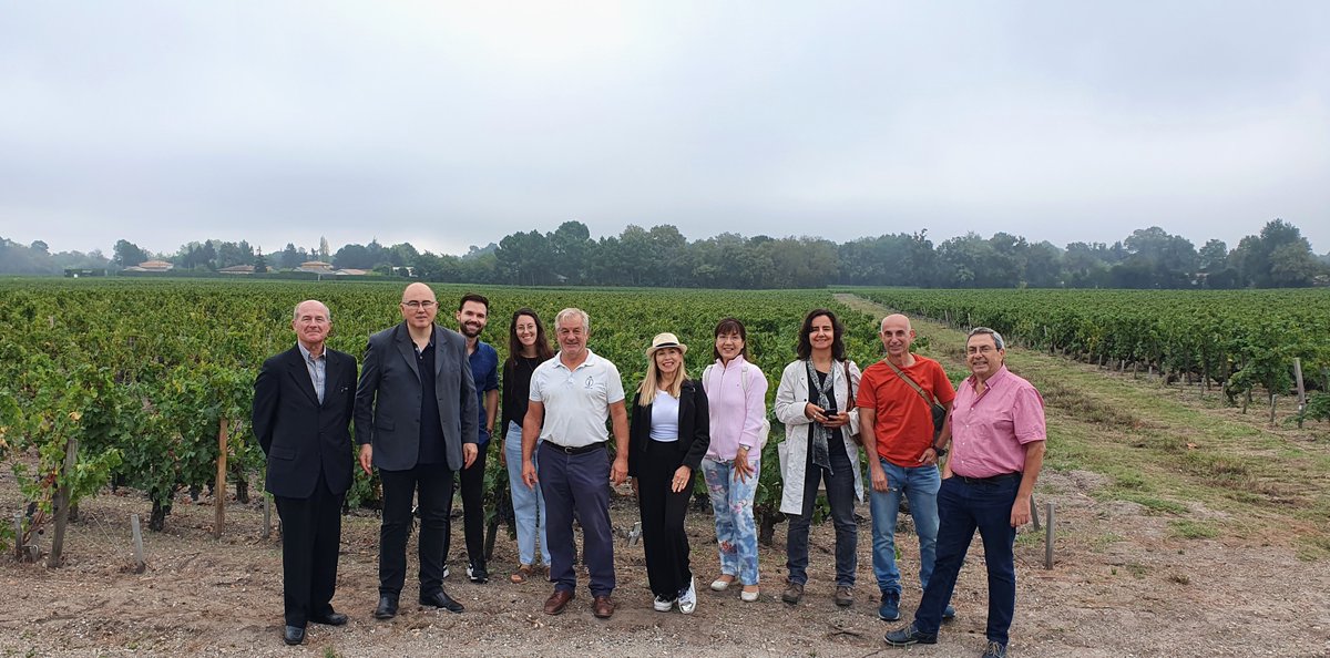 fruitfgb's tweet photo. @FortesMargarida participate in the #Midterm meeting of the #vWise ( https://t.co/XnYT7BvwlC) project at the @isvv_bordeaux.🍇🍷 https://t.co/HiriQvU3KK