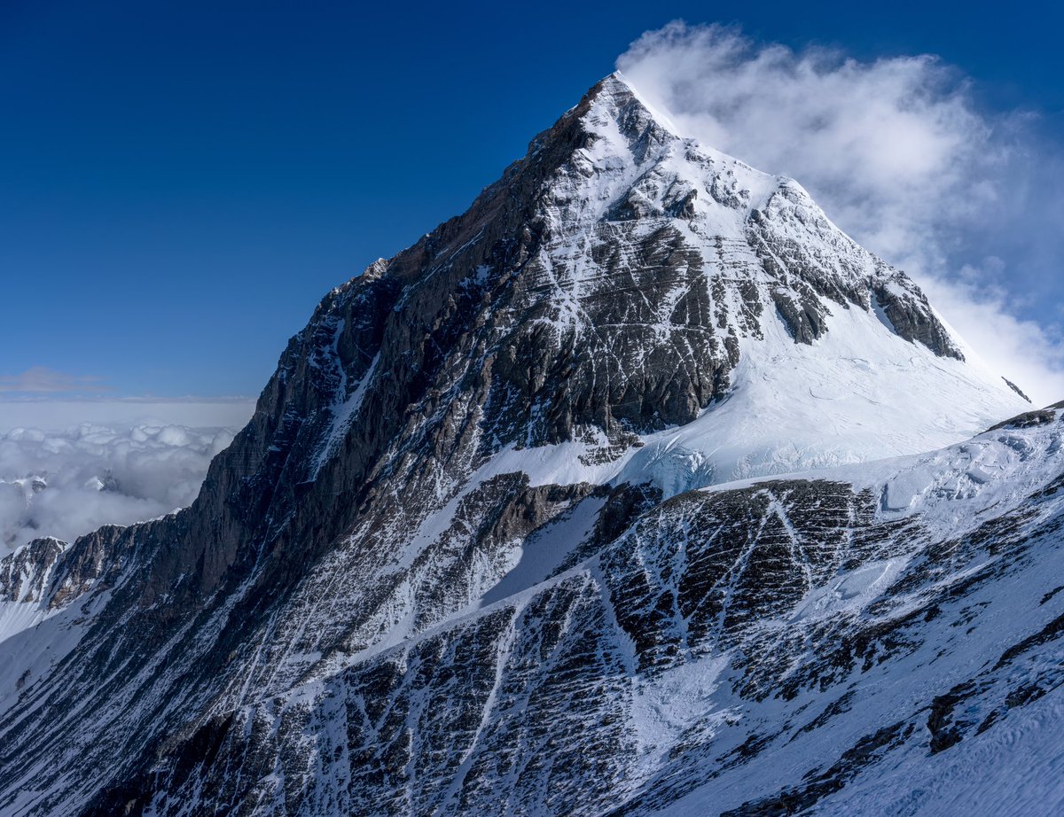 Tim Mosedale tweet media