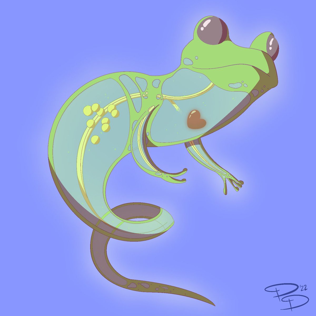 doodle_dust's tweet photo. A froggie ghost 👻

A creative rendition of the Glass Tree Frog, which has a transparent belly allowing you to see the amphibians heart 💕

#myart #frog #ghost #frogghost #glassfrog #digitalart #procreate #originalart #halloween #halloweenfrog #cute #adorable #illustration https://t.co/pAXjyNJU1W
