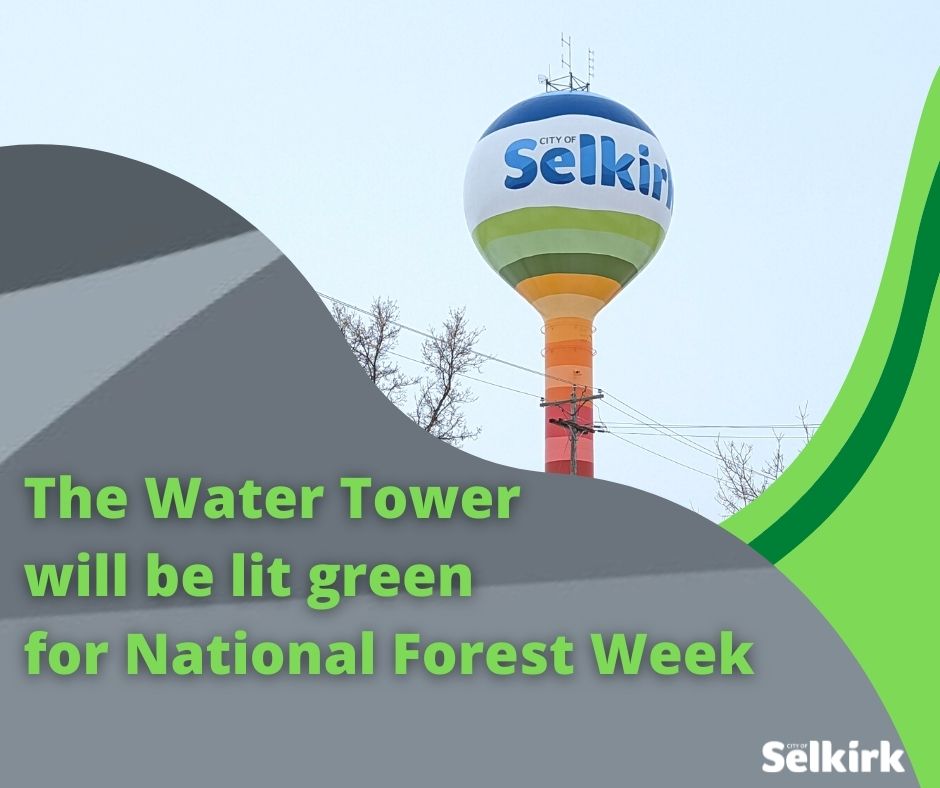 cityofselkirk's tweet photo. Forest Week celebrates the many benefits that trees provide! 🌲
Here in Selkirk we treat our Trees as infrastructure, recognizing their importance in our community and our future. 
@TreeCanada 
#NationalTreeDay https://t.co/PwcBHldEGz