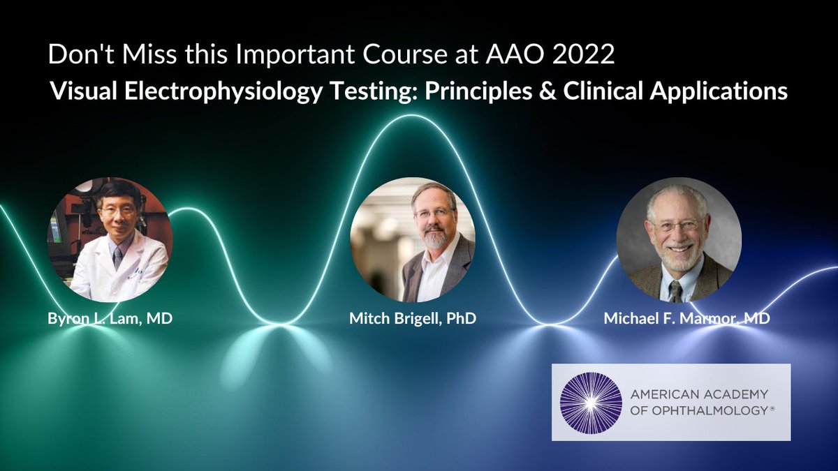LKCTech's tweet photo. #Ophalmologists, don't miss this important #electroretinography course at @aao_ophth 2022!
Learn more about the course here: https://t.co/1OqUJKxjIB
Don't forget to visit our #Booth #3000 to demo the #RETeval. Portable, powerful, handheld.
#ophthalmology #AAO2022 @iscev_org https://t.co/0gtIRc4Ped