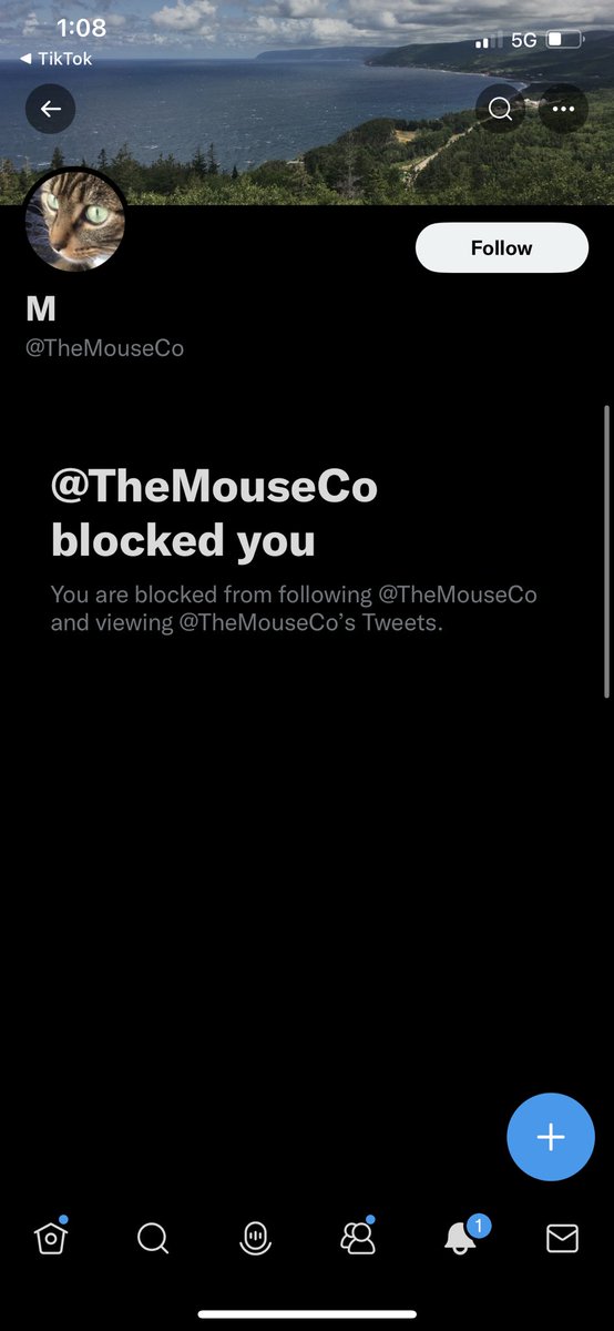eddiegocrazie's tweet photo. @TheMouseCo @makemequittt @perseusxdd @unrealitymc @justasalmonn @its_menieb @GTAVI_Countdown @RockstarGames blocked on this account too😪i’m jus tryna talk a lil shit https://t.co/L0nKpx6FXn