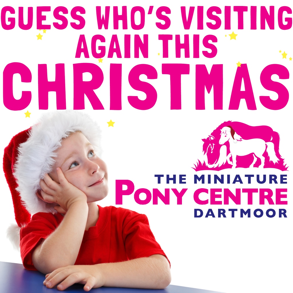 MiniPonyDevon's tweet image. A little something to look forward to 🥰 - More information coming soon! 

#christmas #christmascountdown